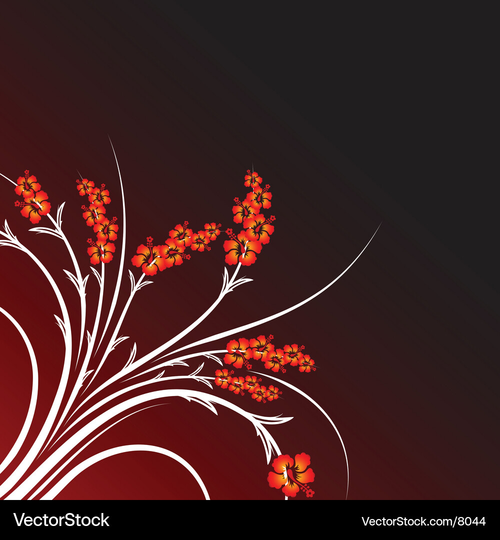 Floral graphic Vector Image