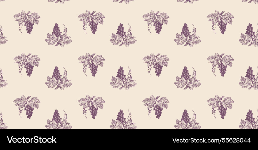 Seamless pattern of ripe grape bunches sketches vector image