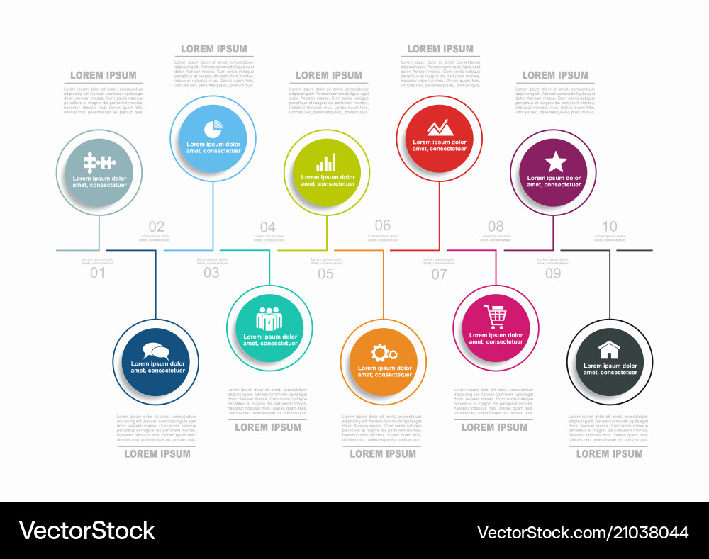 Workflow Infographic Template vector image