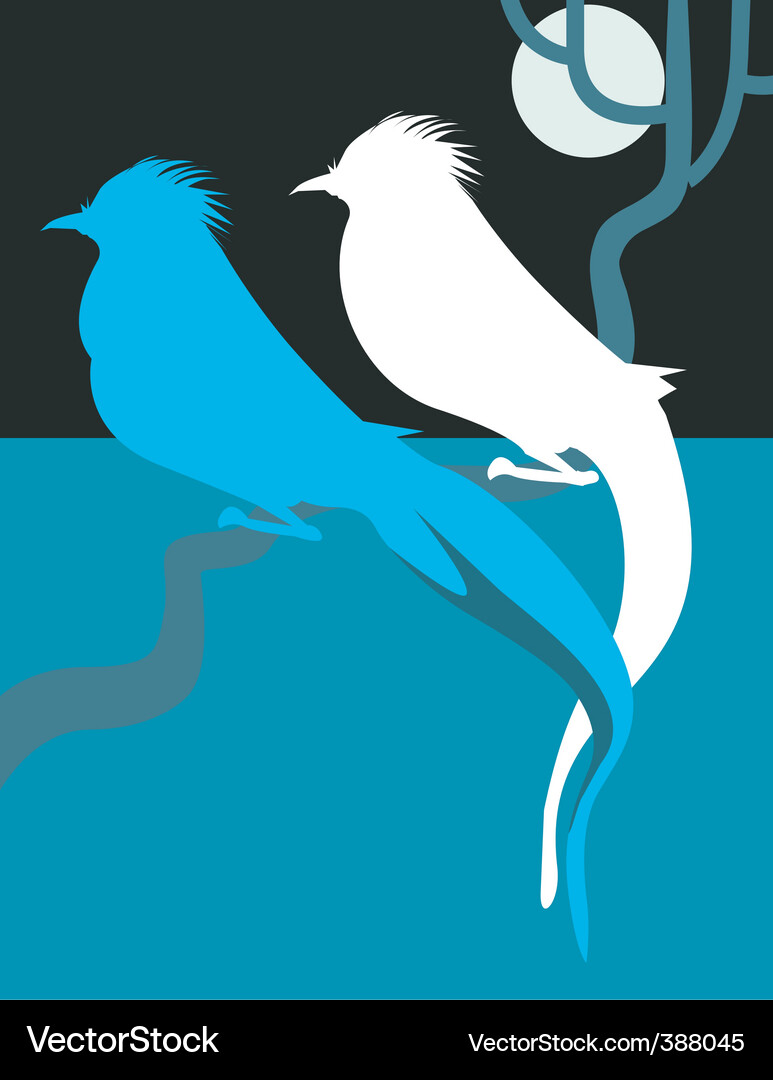 Birds Vector Image