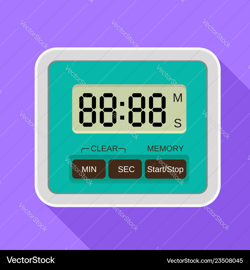 Digital timer icon flat style Digital timer icon flat style vector image