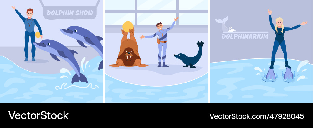 Flat dolphinarium show set Vector Image