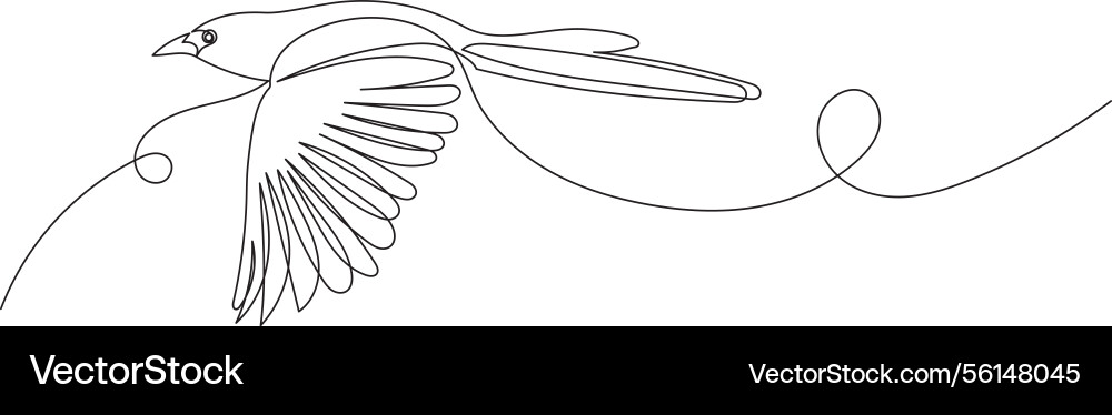 Flying bird continuous line drawing sketch Vector Image