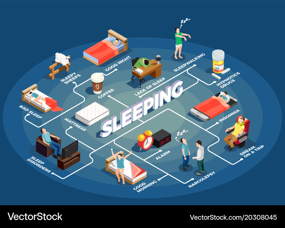 Isometric Sleep Flowchart Vector Image
