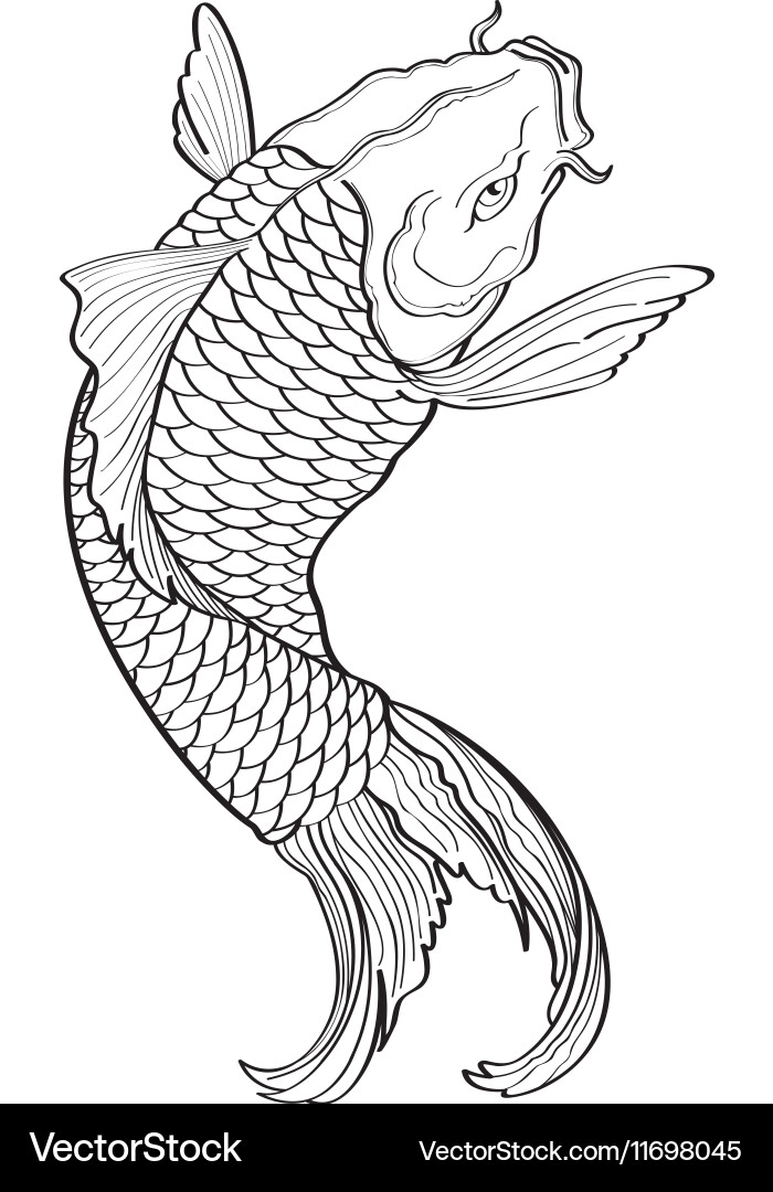 Koi Fish Lined Pattern vector image