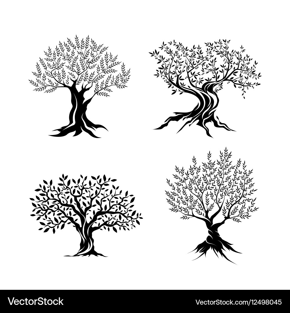 Olive Tree Icon Set vector image
