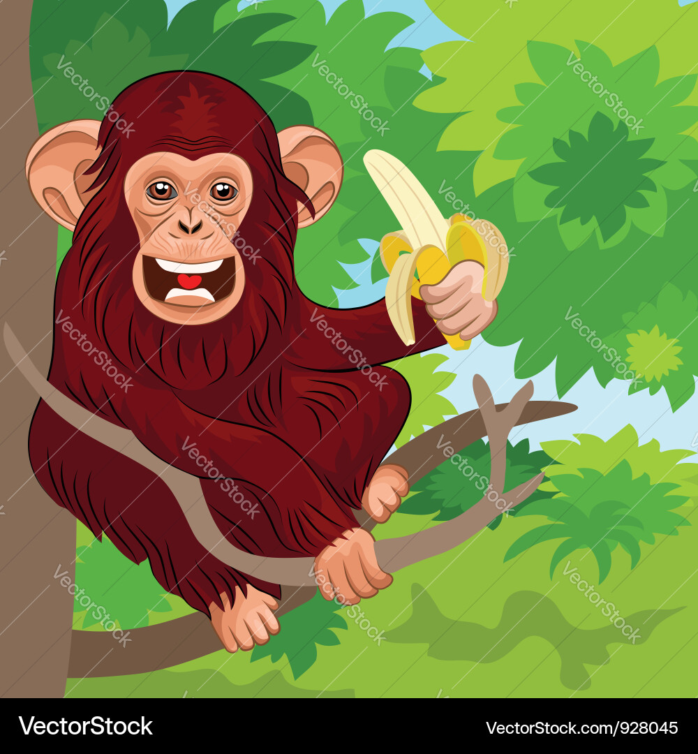 Smiling Monkey in Jungle vector image