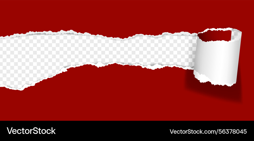 Torn paper hole ripped sheet curl Torn paper hole ripped sheet curl vector image