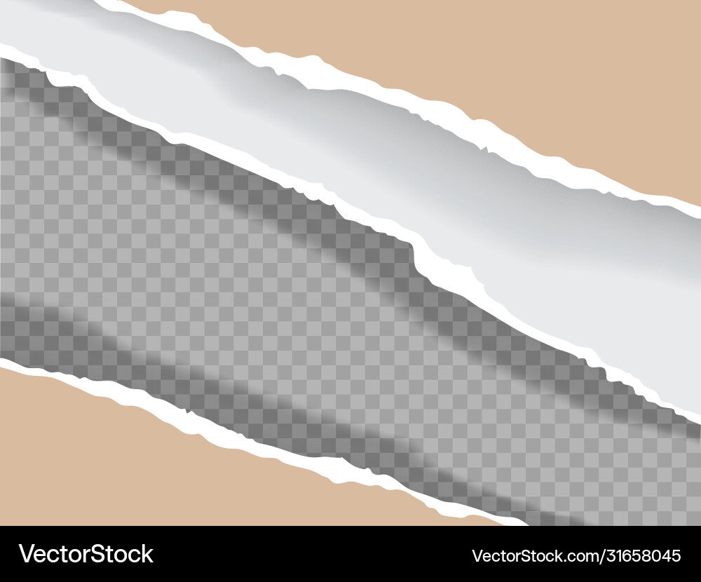 Torn paper with ripped edges realistic vector image