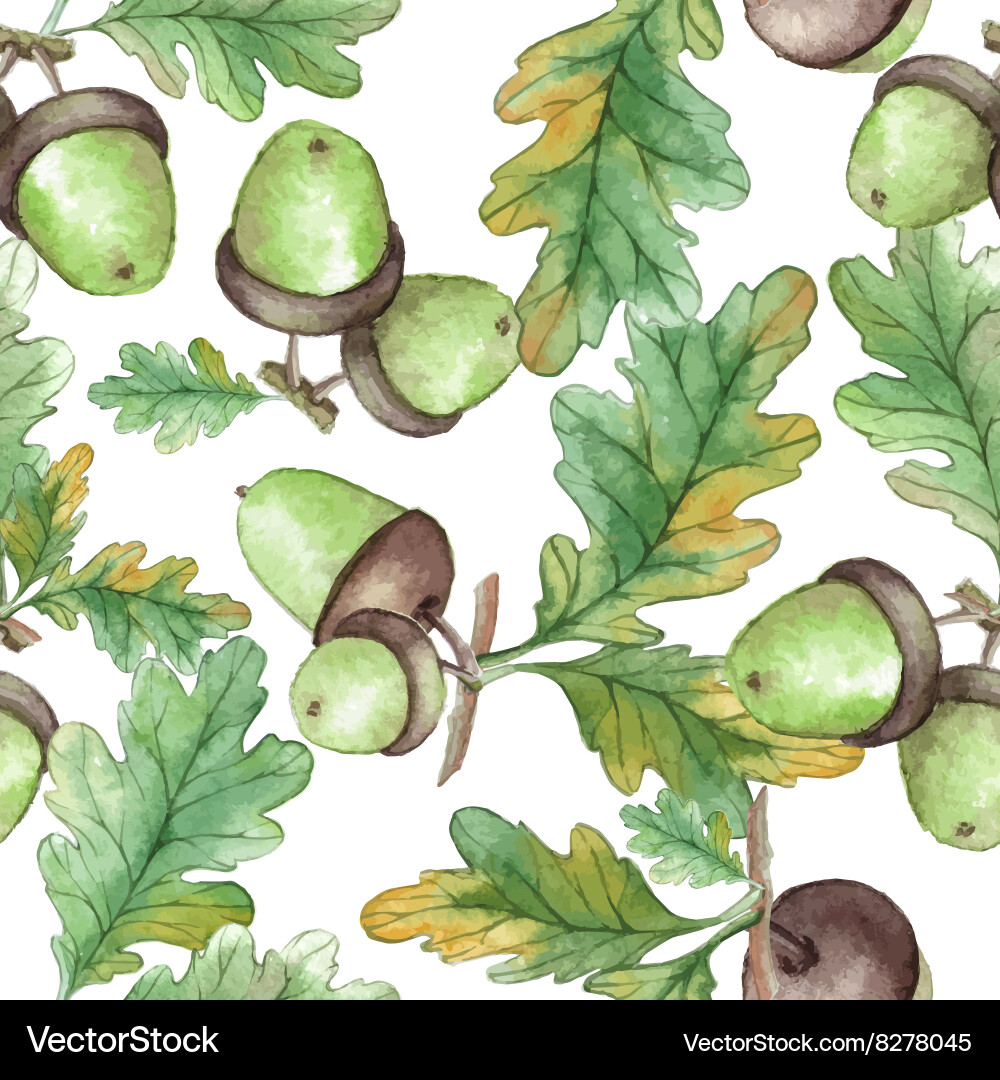 Watercolor seamless pattern with acorns vector image