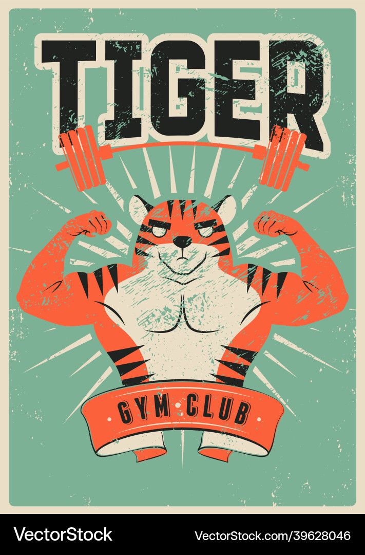 Gym Sport Club Grunge Plakat mit Muskel Tiger Gym Sport Club Grunge Plakat mit Muskel Tiger vektorbild