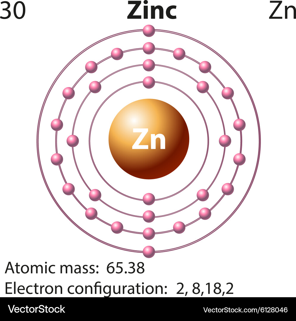 Symbol- und Elektronendiagramm für Zink Vektorbild