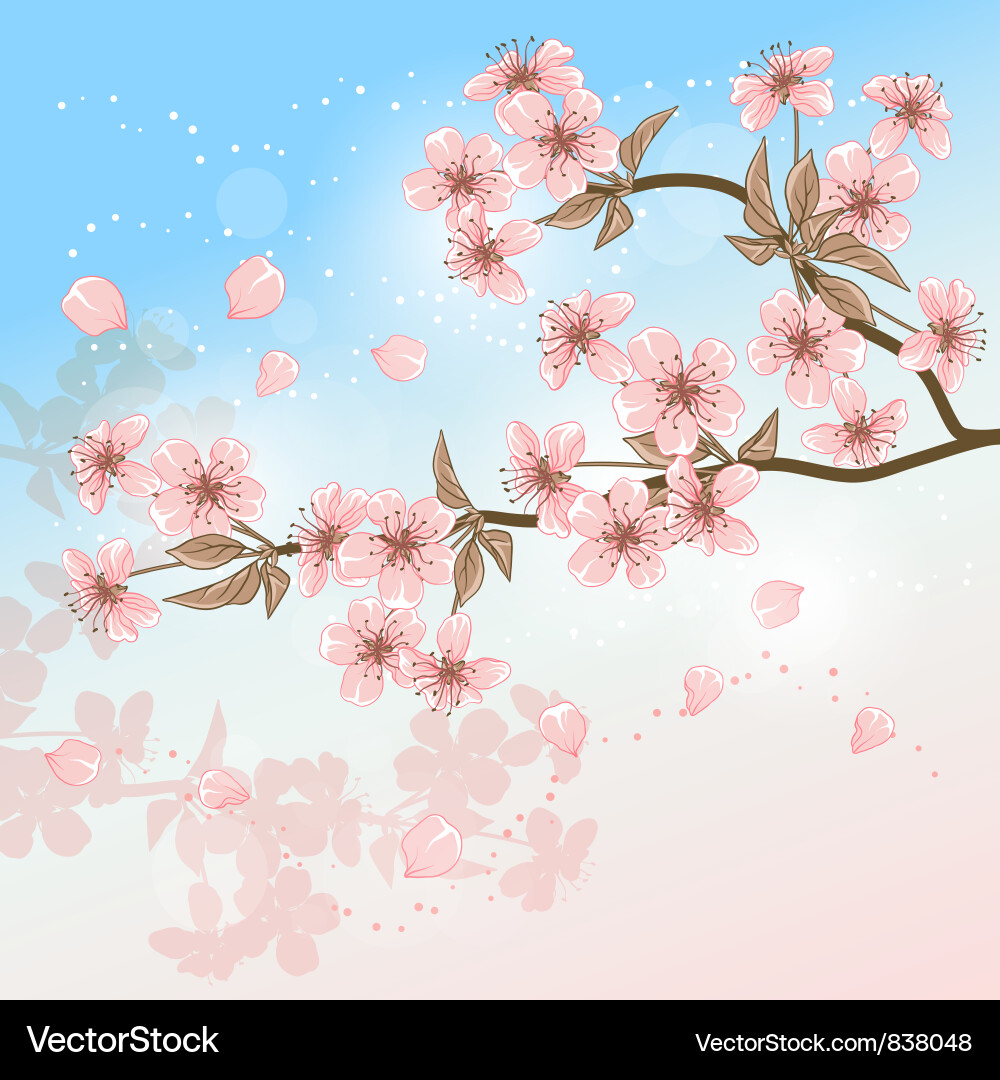 Elegant Cherry Blossom Card Vector Image
