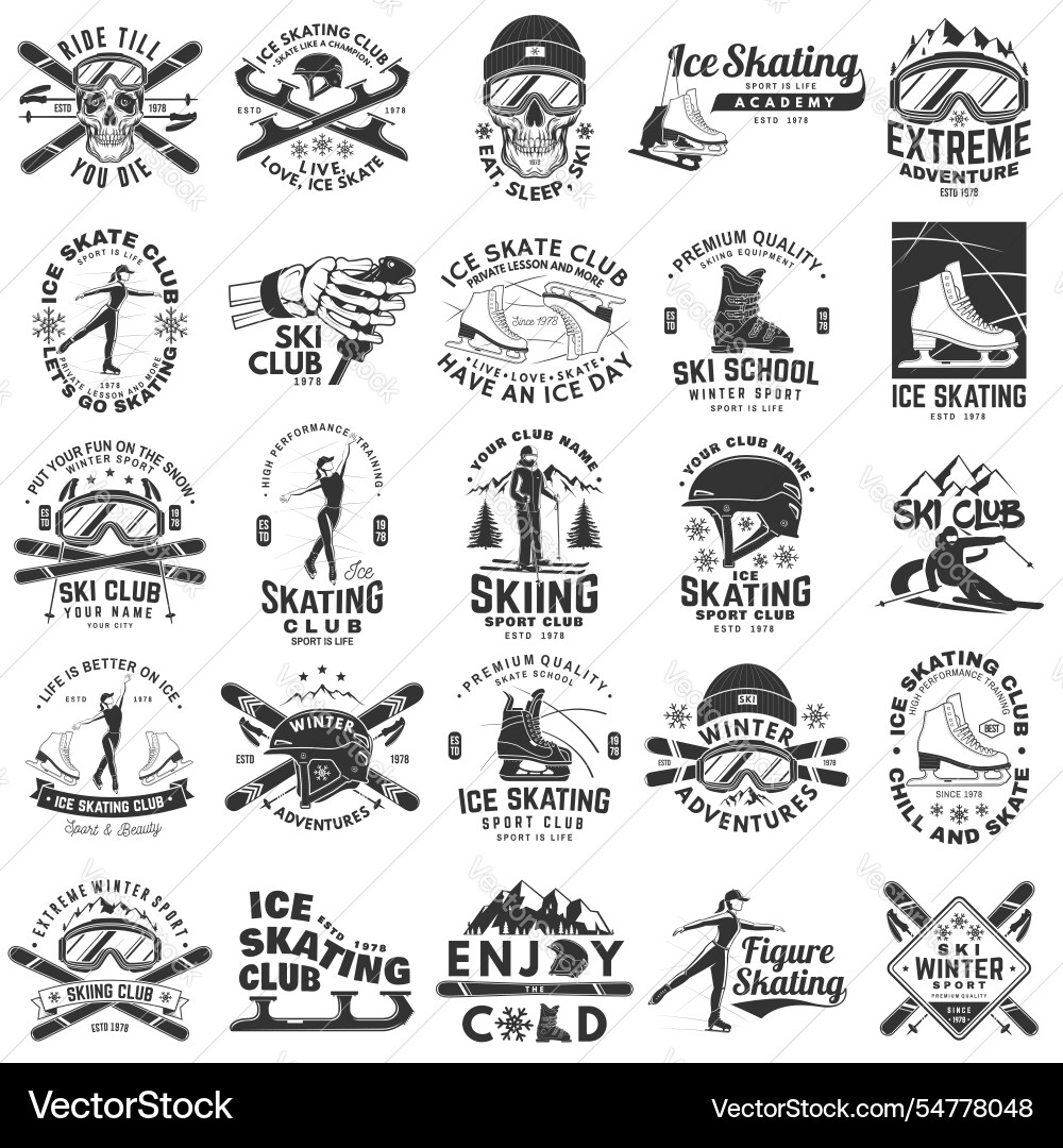 Set of ski and ice skate retro badge Set of ski and ice skate retro badge Vector Image