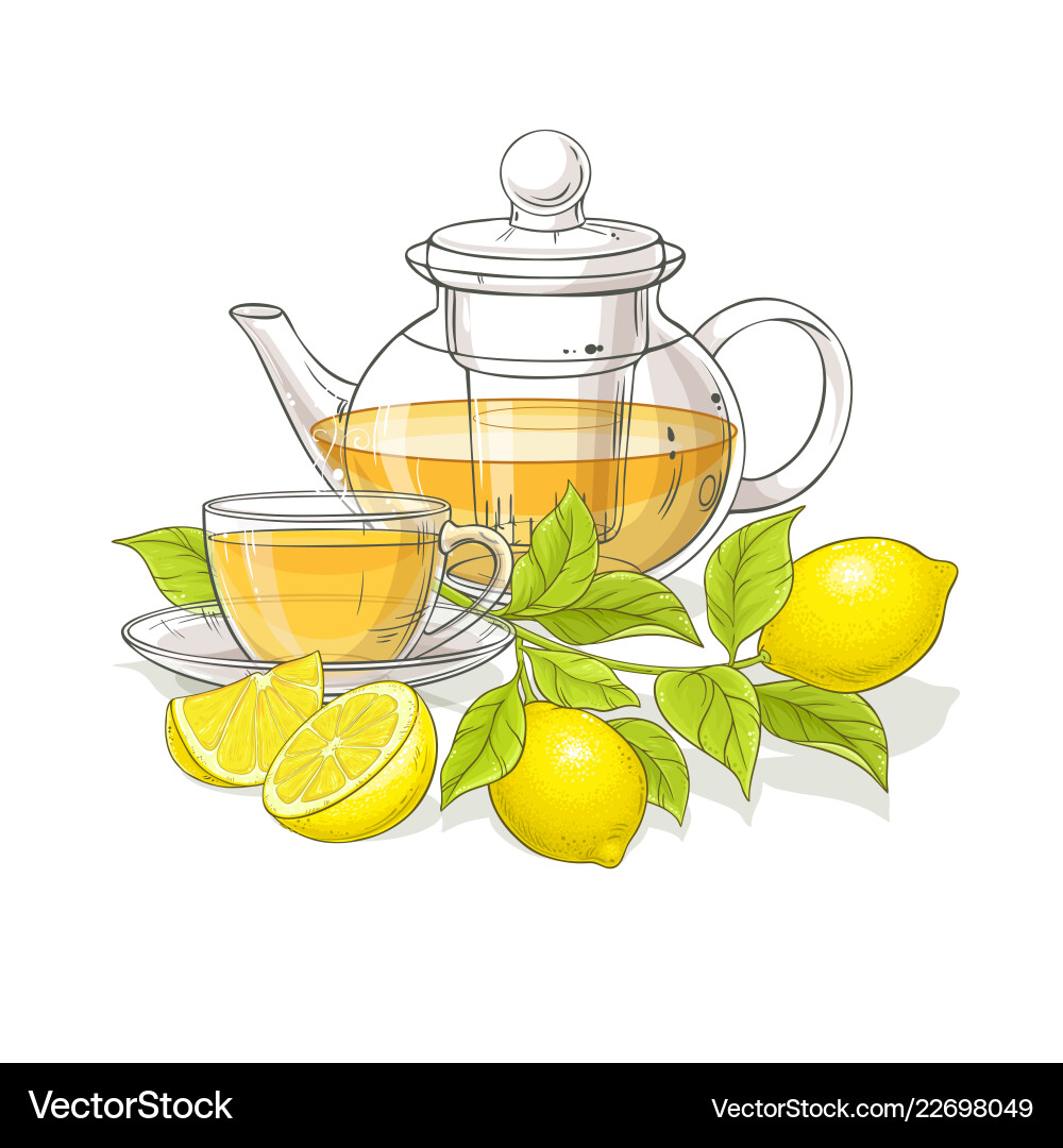 Lemon tea Royalty Free Vector Image - VectorStock