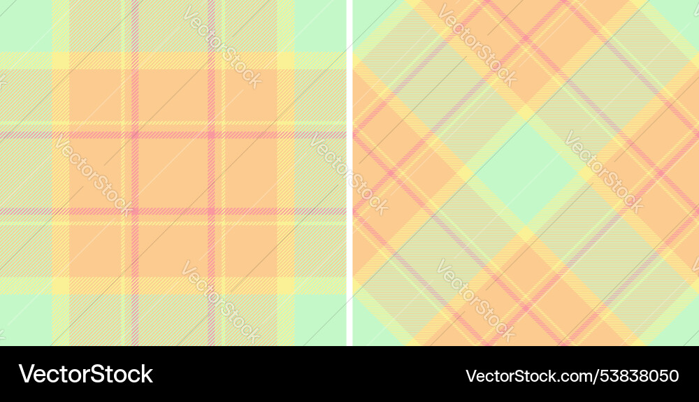 Fabric tartan of check pattern texture Vector Image