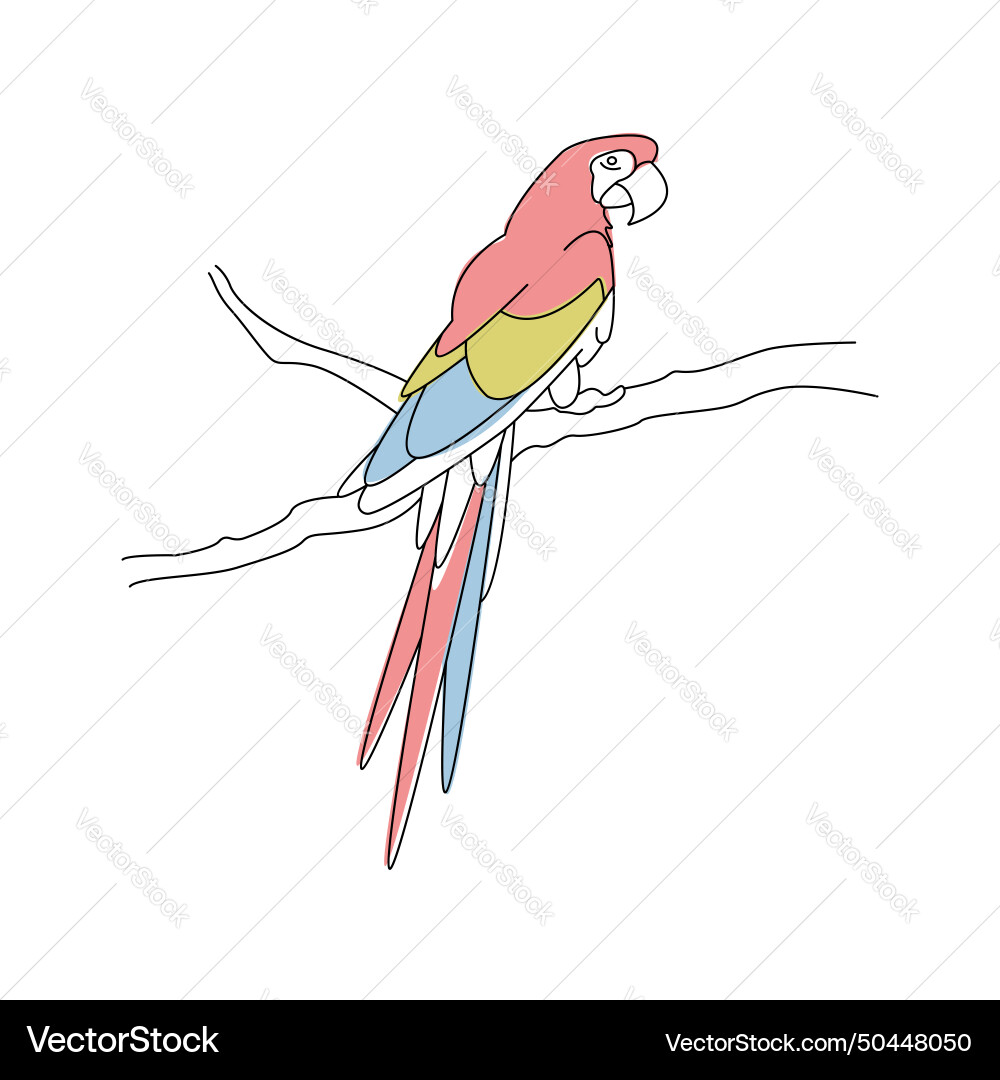Simple linear graphic with a parrot on branch Vector Image