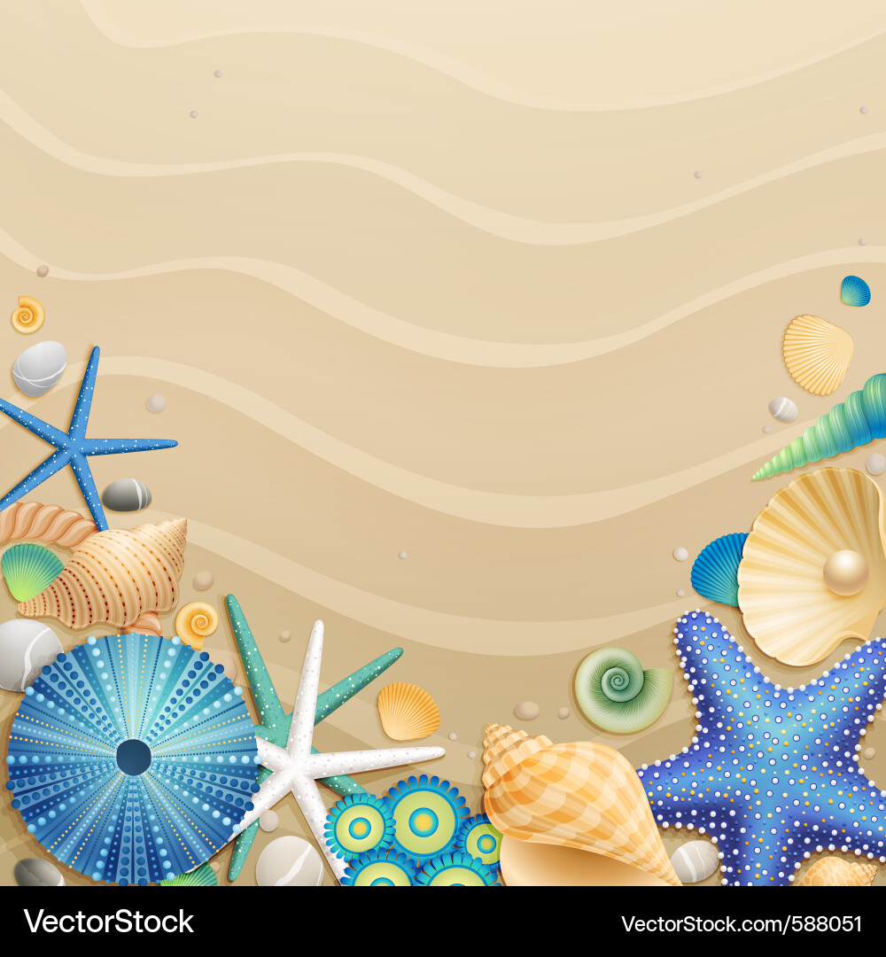 Shells and starfishes Royalty Free Vector Image