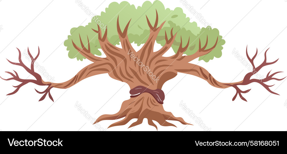 Winter Tree with Bare Branches Vector Image