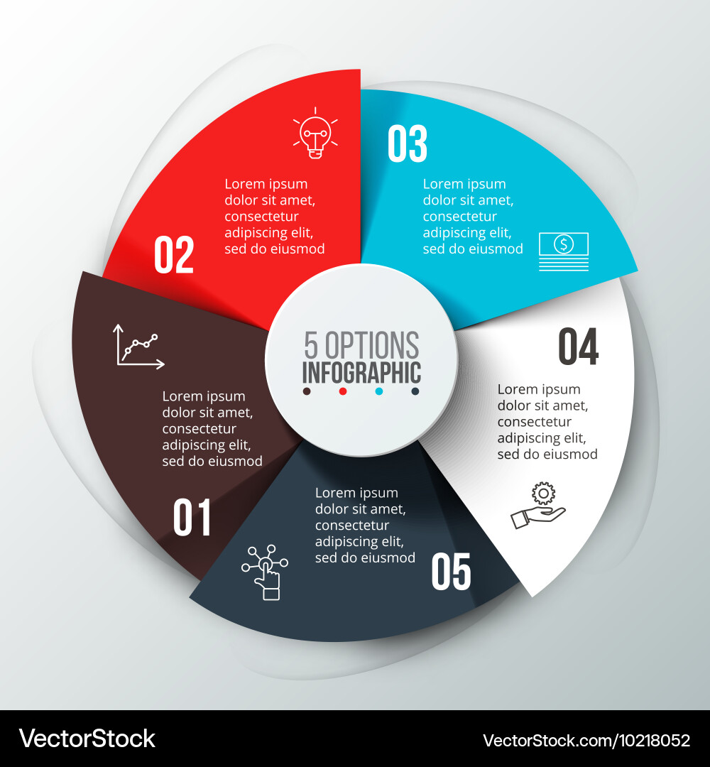 Circular Data Visualization Infographic vector image