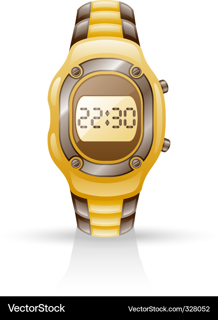 Digital Clock Display vector image