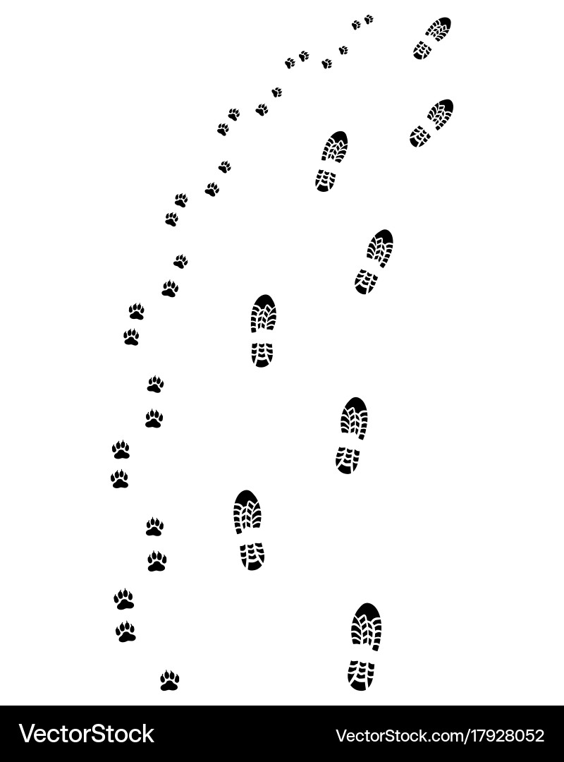 Dog and Man Footprints Turning Right Vector Image