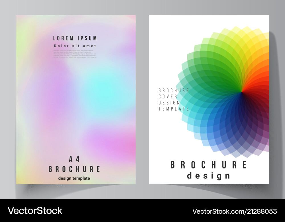 The layout of a4 format Vector Image