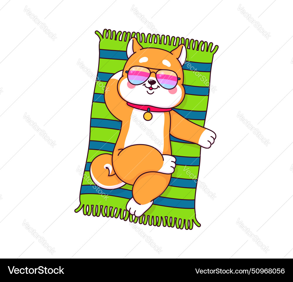 Cartoon shiba inu dog sunbathing on the beach vector image