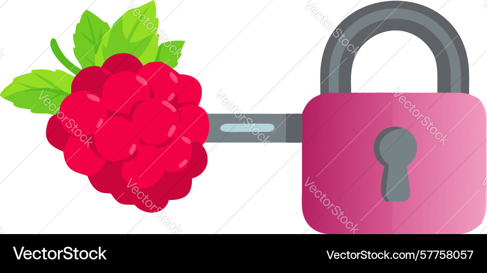 Secure data protection with raspberry icon design vector image