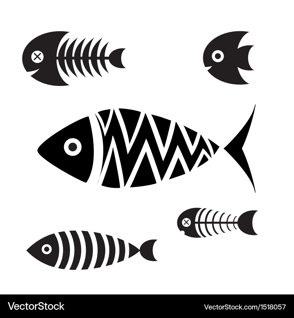 Set of icons fish vector image