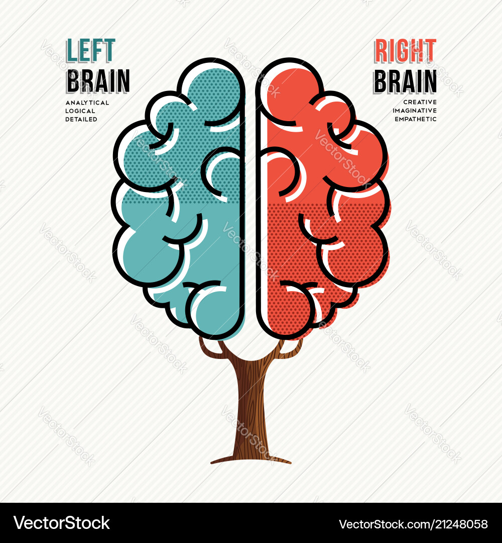 Brain Hemisphere Concept - Left & Right Vector Image
