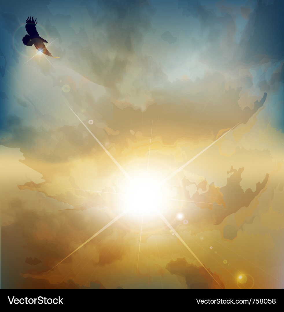 Soared Vector Flying Birds Sunset Vector Images (over 1,300)