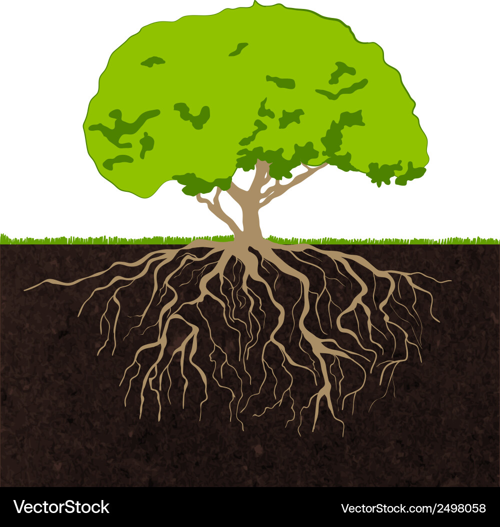 Tree roots sketch vector image