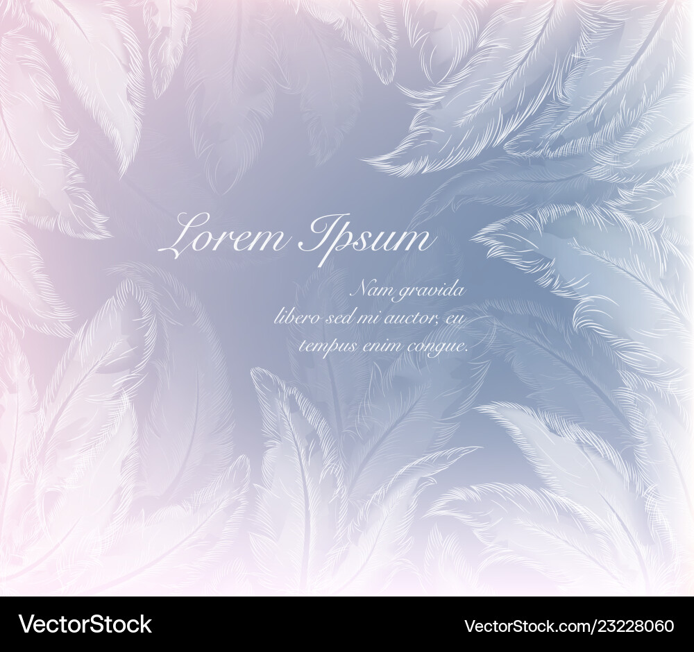 Ice patterns of snowflakes and frozen feathers Ice patterns of snowflakes and frozen feathers vector image