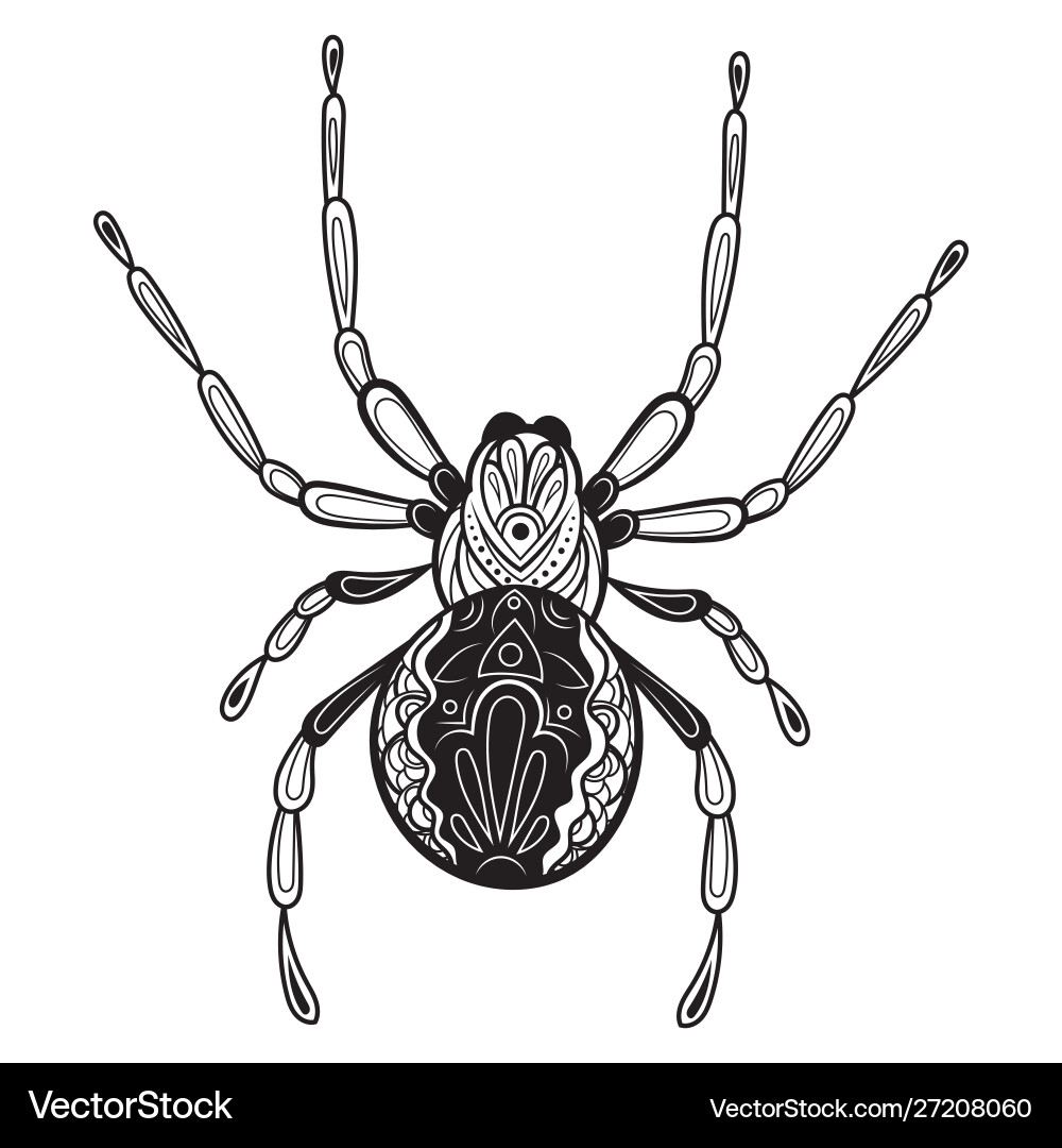 Spider with patterns entangle black Spider with patterns entangle black vector image