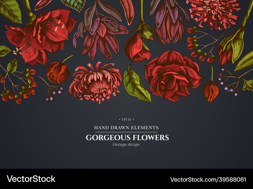 Floral design on dark background with viburnum Floral design on dark background with viburnum vector image