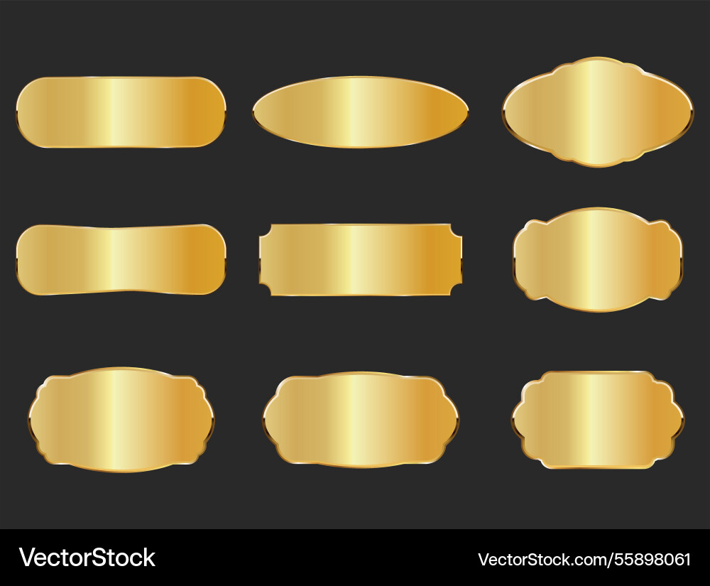 Luxury vip golden labels premium tags quality Vector Image