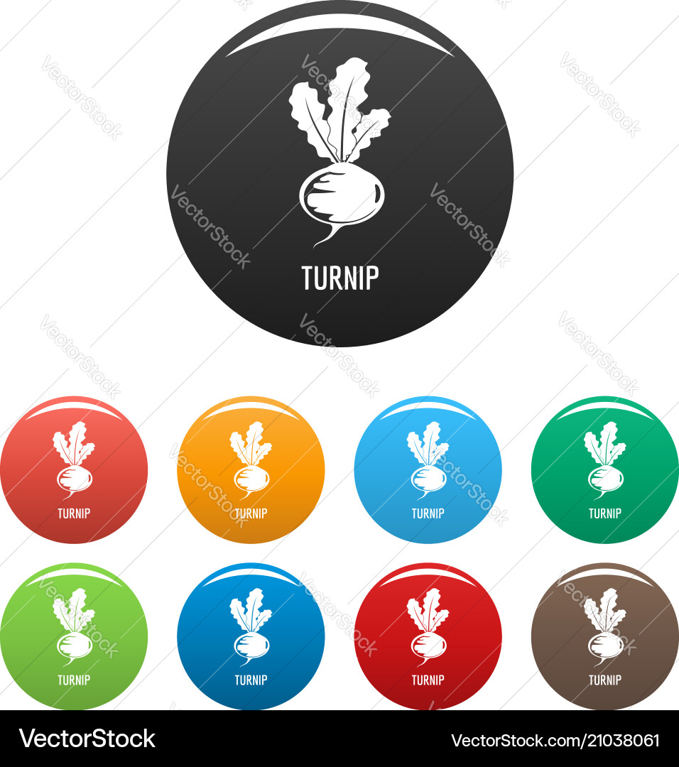 Turnip icons set color vector image
