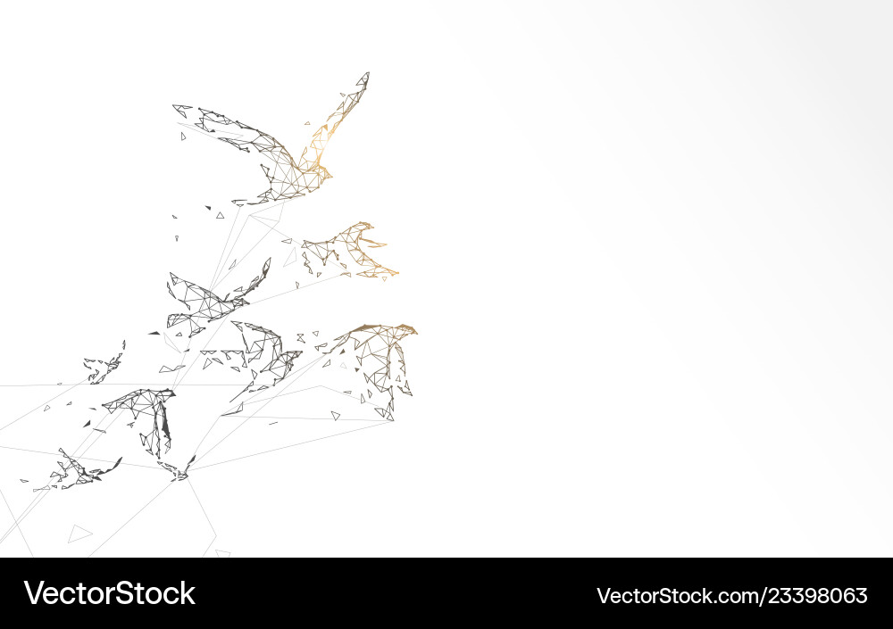 Abstract Birds & Particle Lines Vector Image