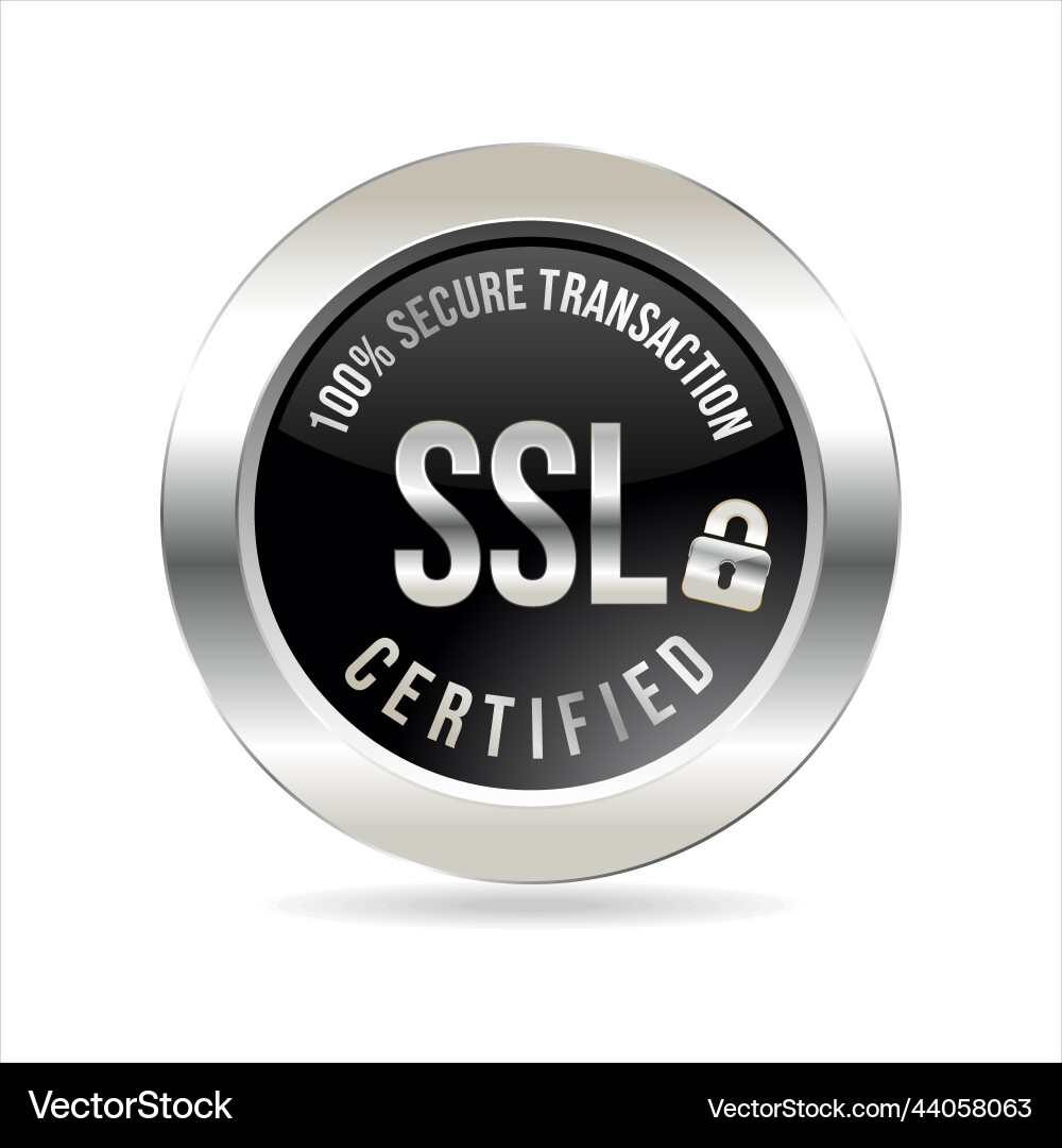 Secure connection icon isolated Secure connection icon isolated Vector Image