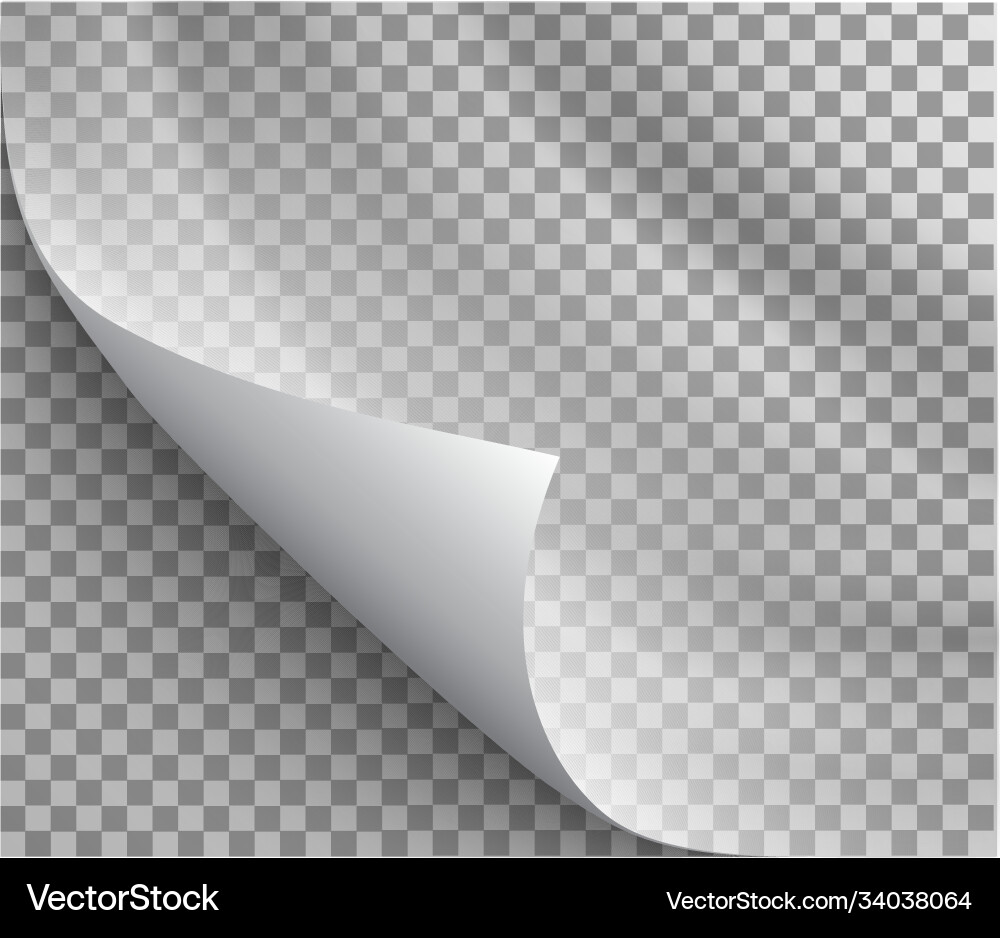 Page Curl with Shadow vector image