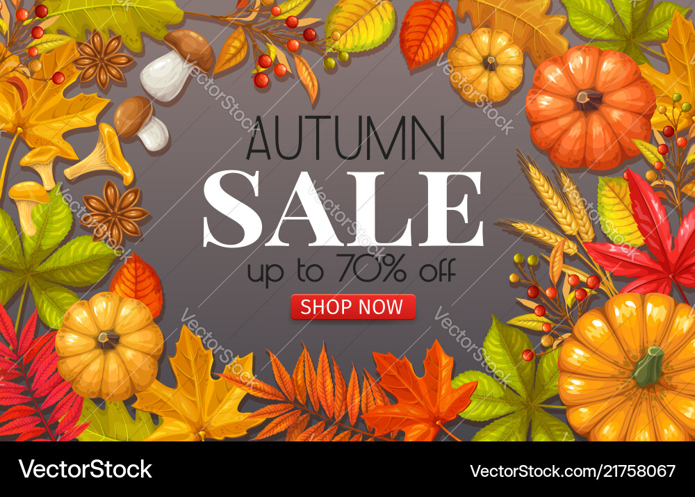 Seasonal autumn banner Seasonal autumn banner vector image