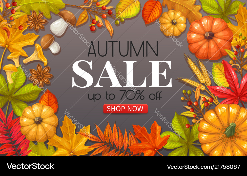 Seasonal autumn banner vector image