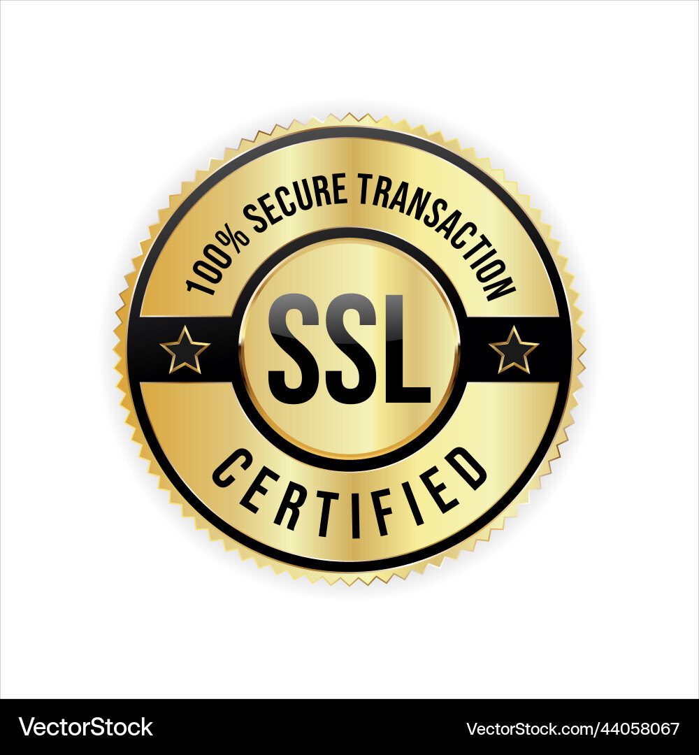 Secure connection icon isolated Secure connection icon isolated Vector Image