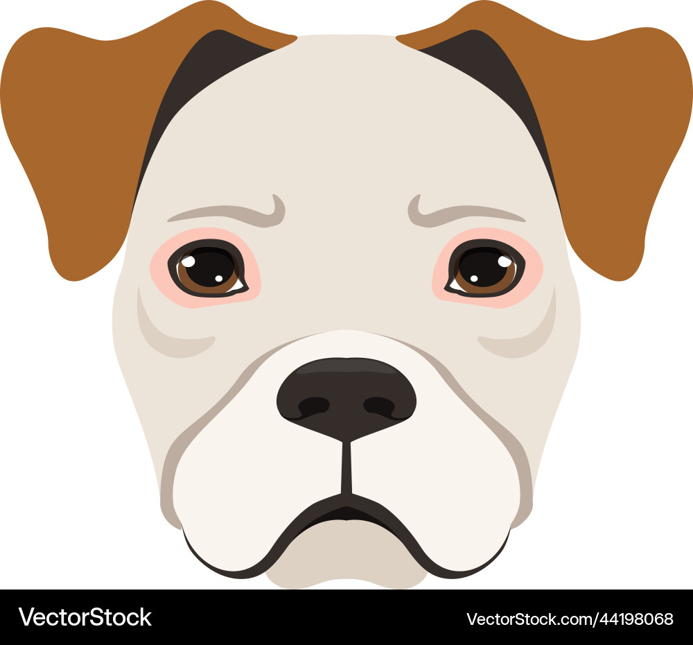 Englisch bulldog head icon Cartoon Hund Gesicht Englisch bulldog head icon Cartoon Hund Gesicht vektorbild