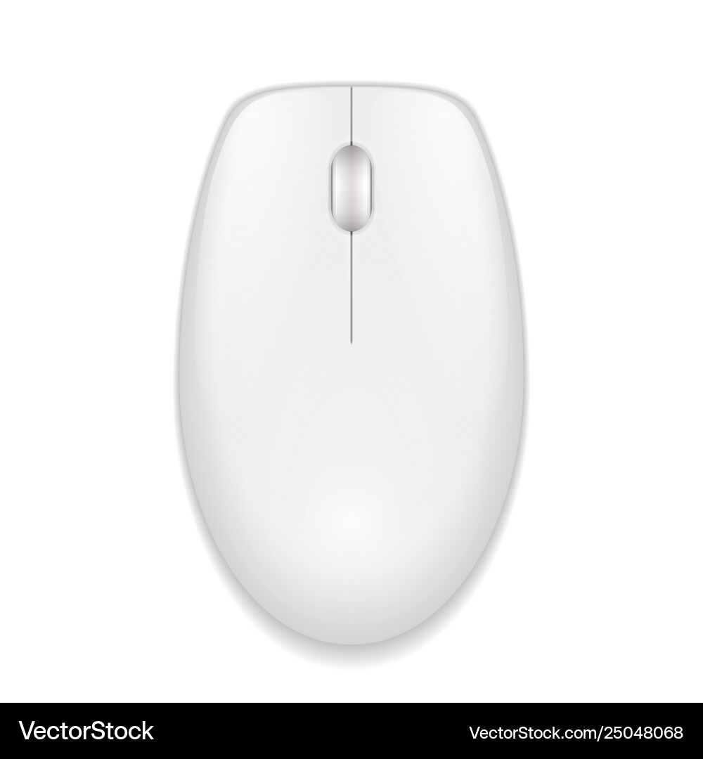 Realistic White Computer Mouse Vector Image