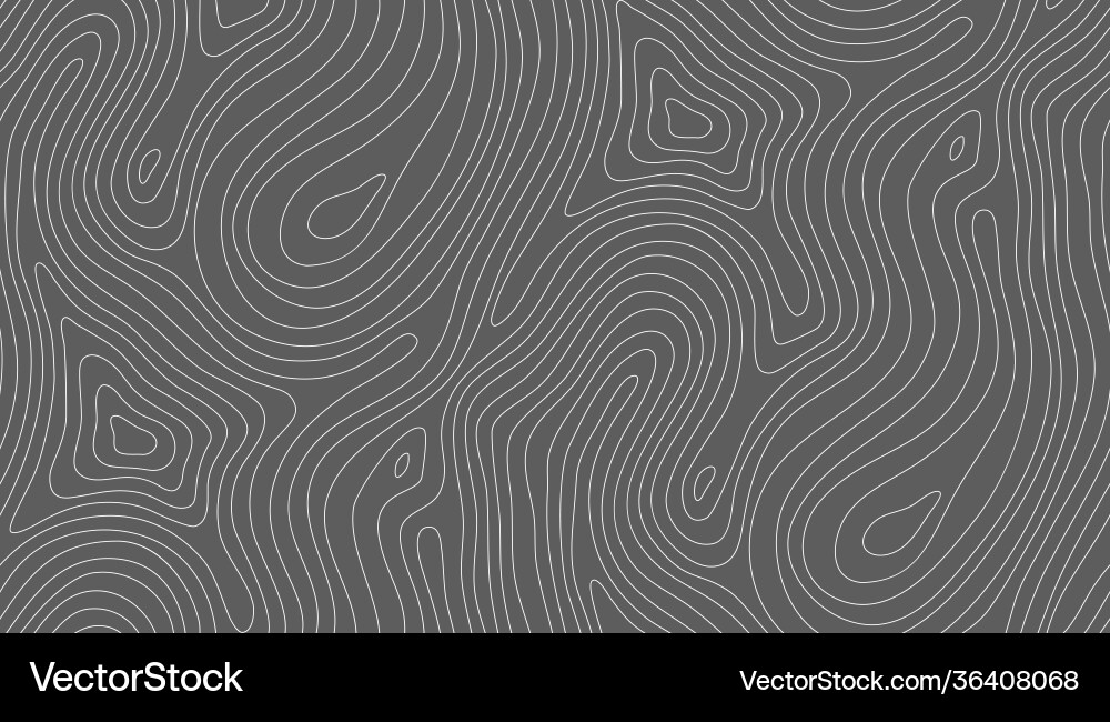 Topographic Map Background vector image