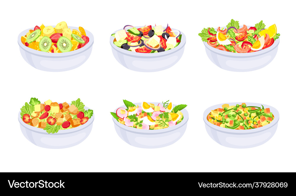 Salad dishes bowl with fresh healthy vegetable Salad dishes bowl with fresh healthy vegetable vector image