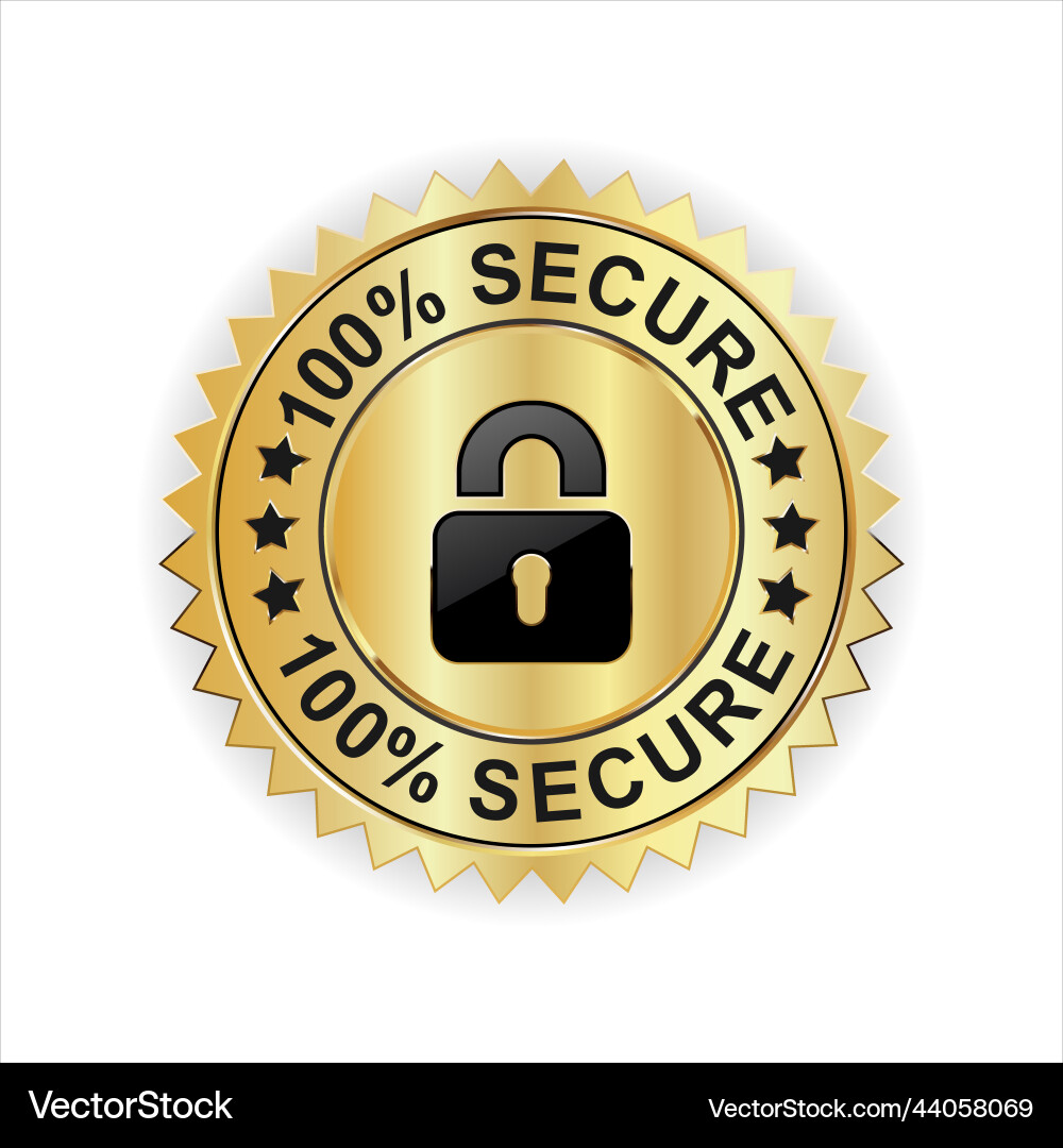 Secure Connection Icon vector image