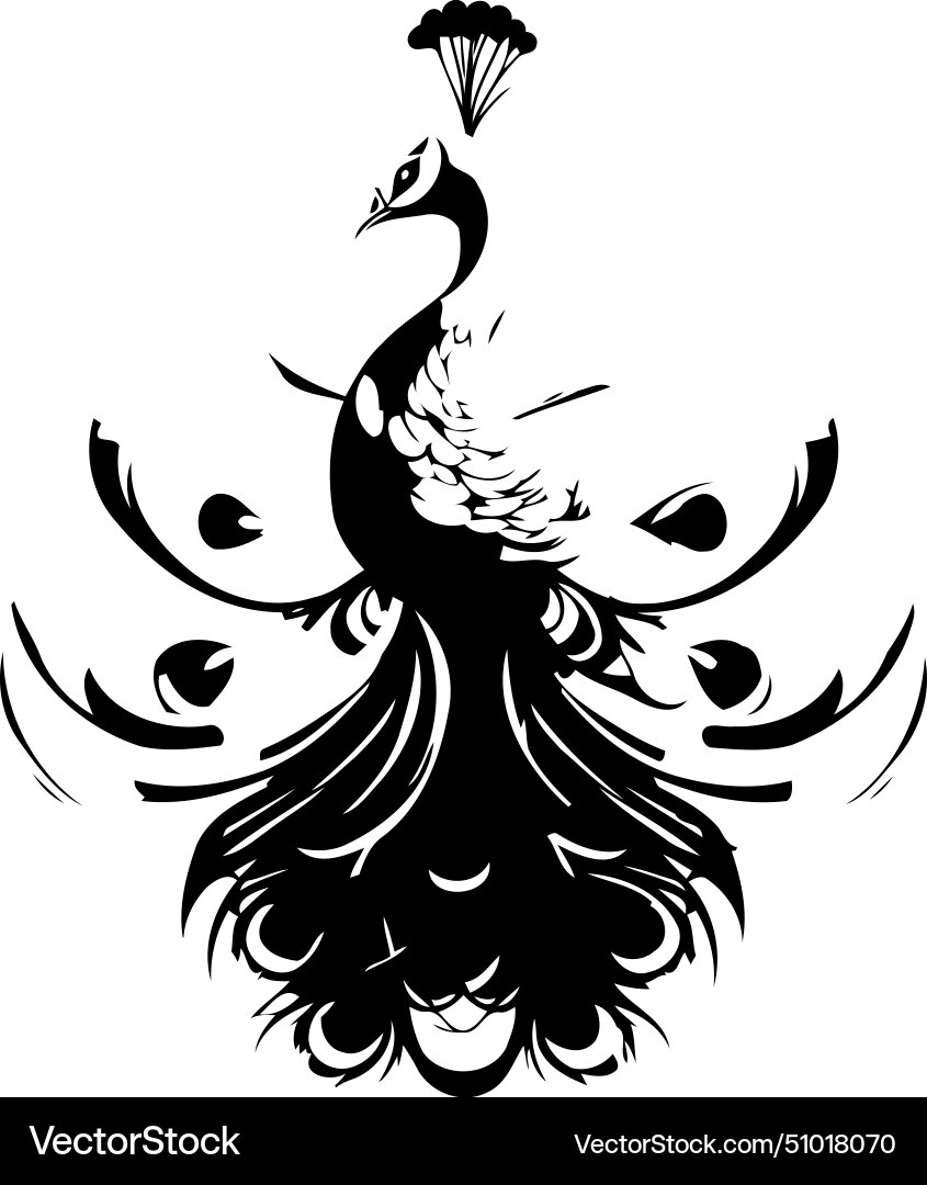 Peacock with a pattern colorful Vector Image